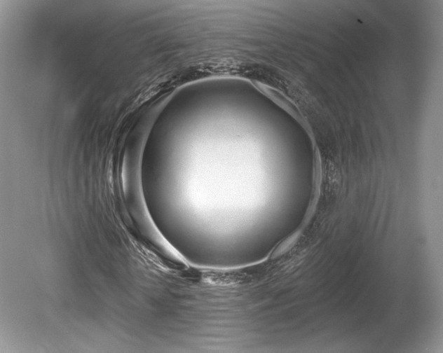 X0000080130818200612081227