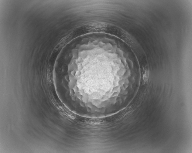 X0000080130819200612081227