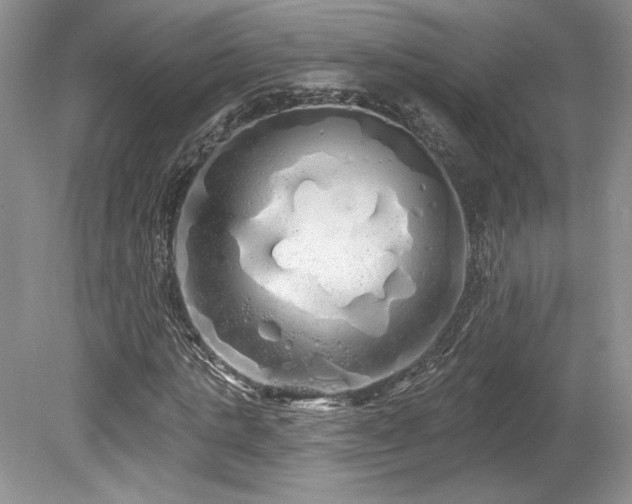 X0000080130821200612081228