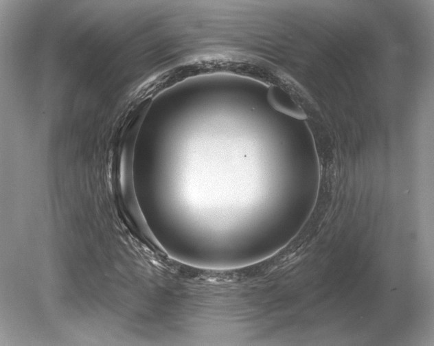 X0000080130822200612081228