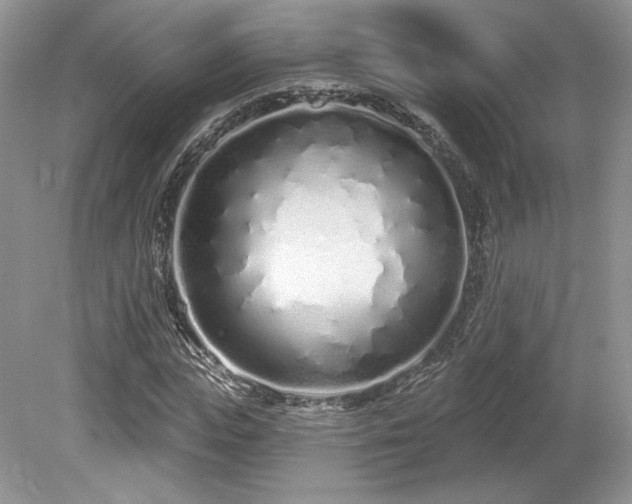 X0000080130823200612081228