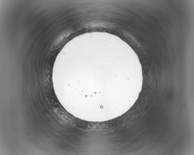 X0000080130824200612081228