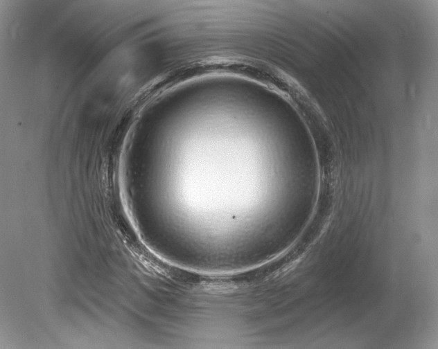 X0000080130825200612081228