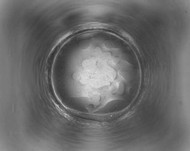 X0000080130827200612081228