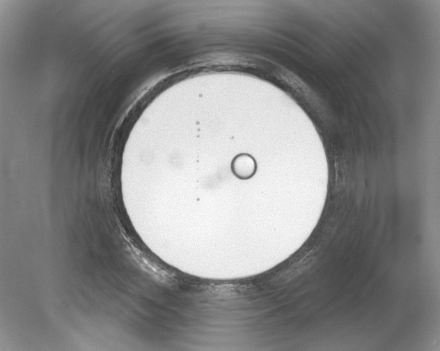 X0000080130828200612081228