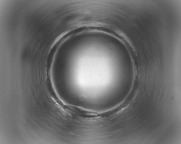 X0000080130829200612081228