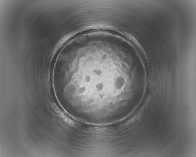 X0000080130831200612081228