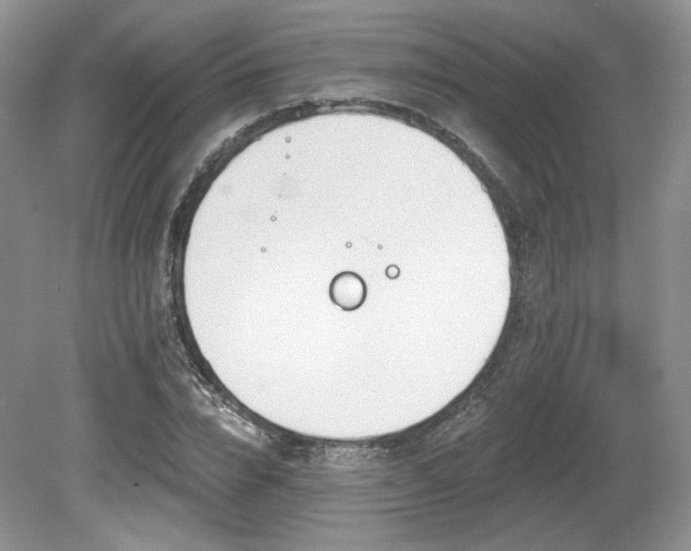 X0000080130832200612081228