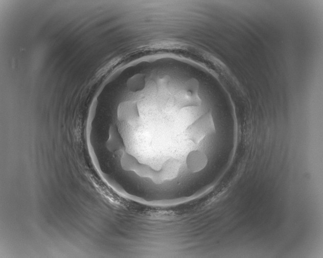 X0000080130833200612081228