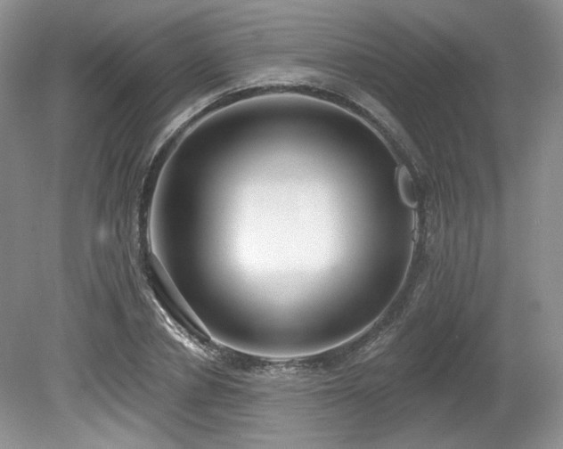 X0000080130834200612081228