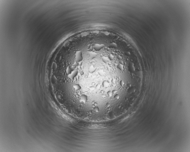 X0000080130835200612081228