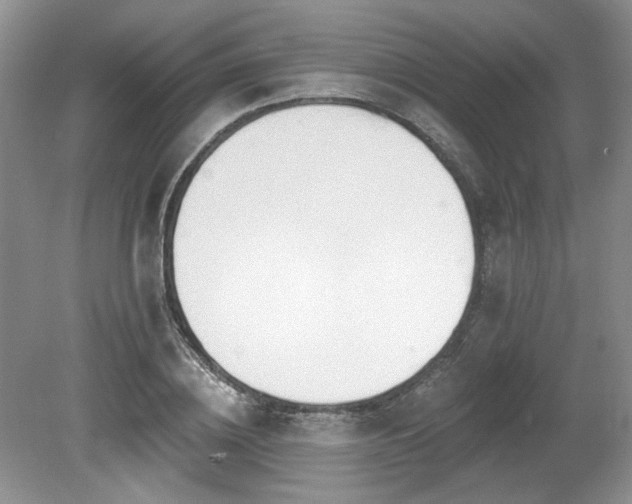 X0000080130836200612081228