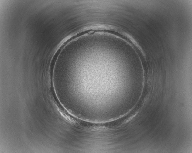 X0000080130837200612081228