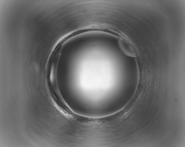 X0000080130838200612081228