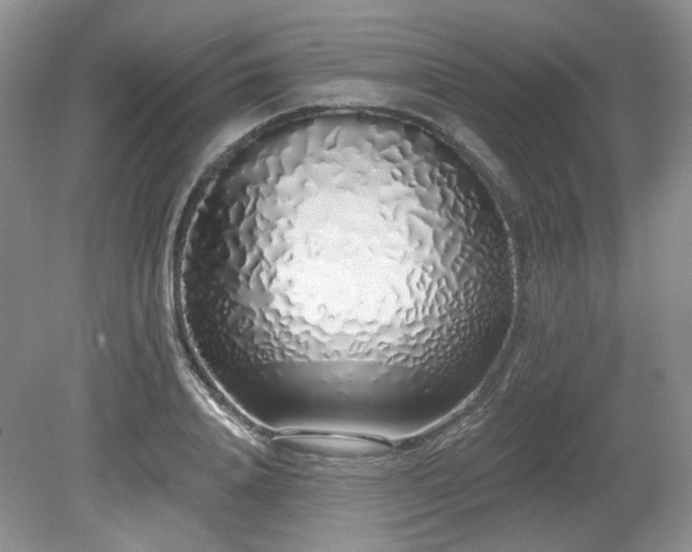 X0000080130840200612081228