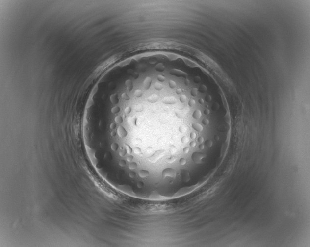 X0000080130841200612081228