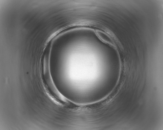 X0000080130842200612081228