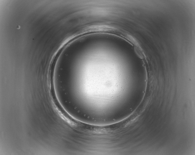 X0000080130843200612081228