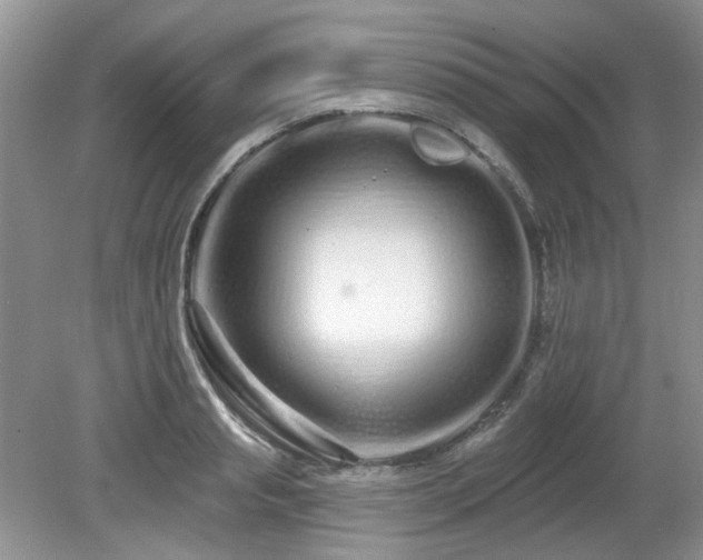 X0000080130845200612081228