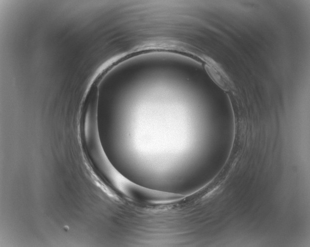 X0000080130846200612081228