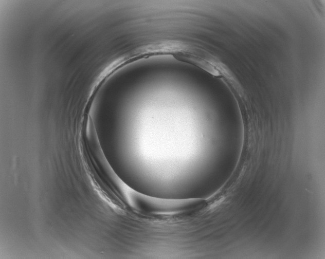 X0000080130850200612081228