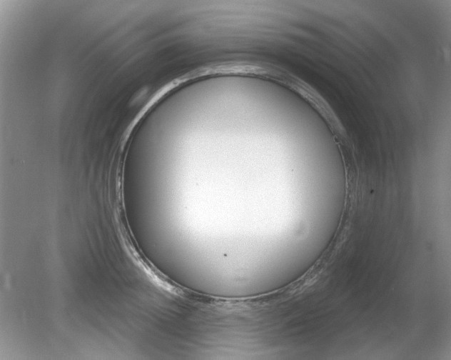 X0000080130852200612081228