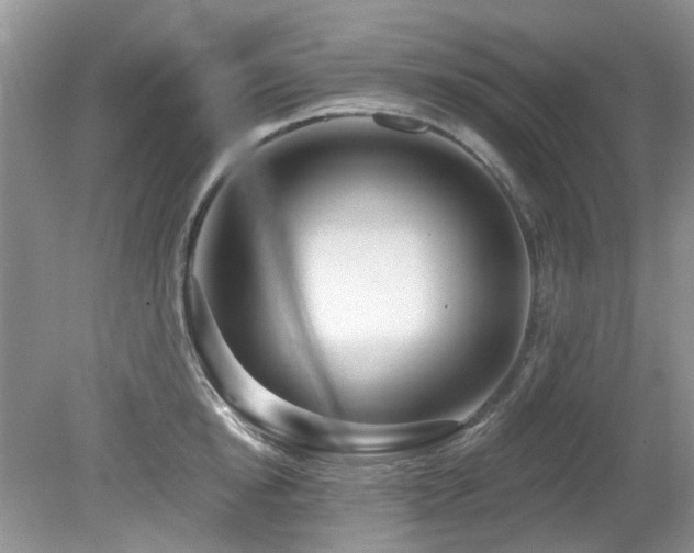 X0000080130854200612081228