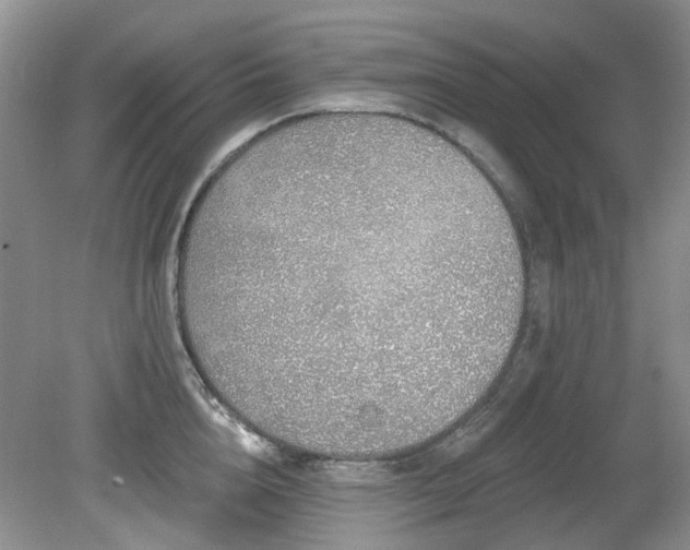 X0000080130856200612081228