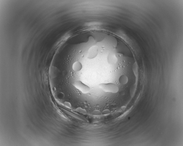 X0000080130857200612081228