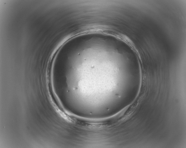 X0000080130859200612081228