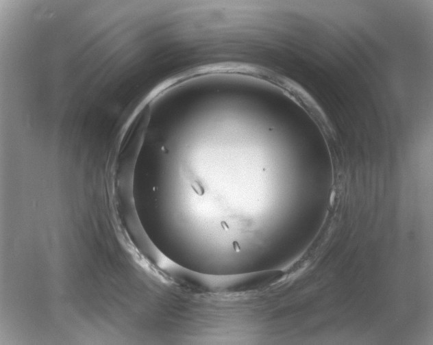 X0000080130860200612081228