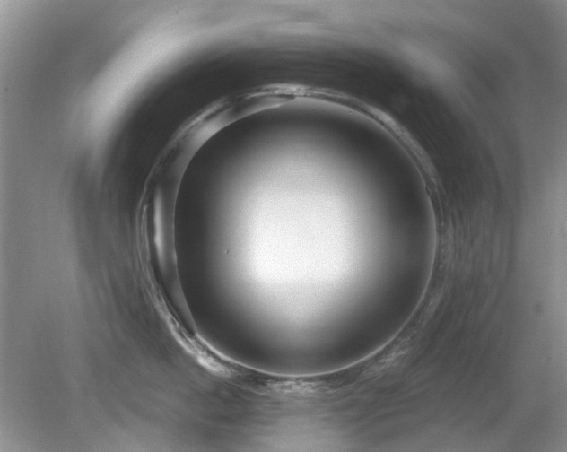 X0000080130862200612081228