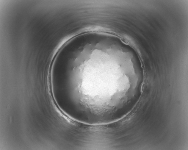 X0000080130863200612081228