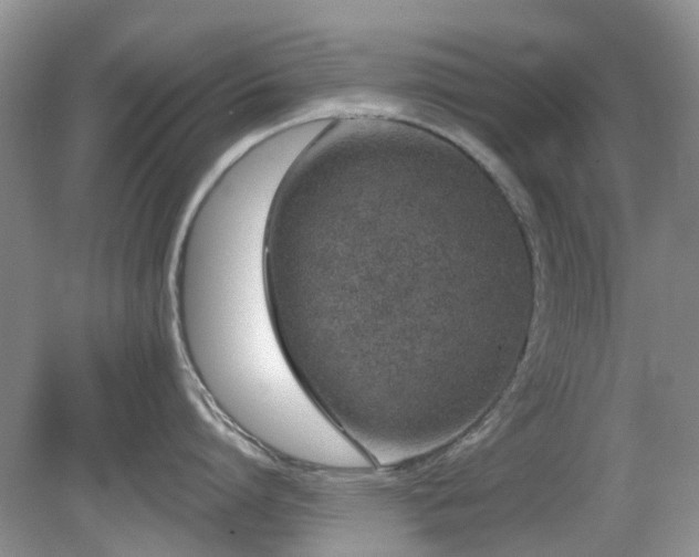 X0000080130864200612081228