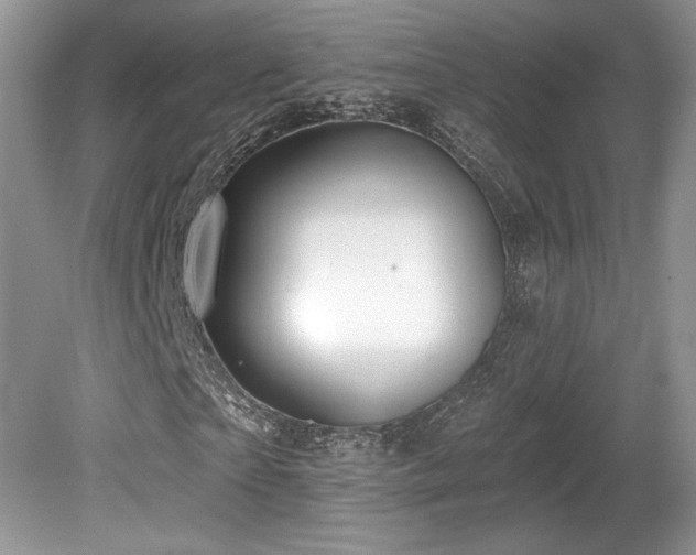 X0000080130865200612081227