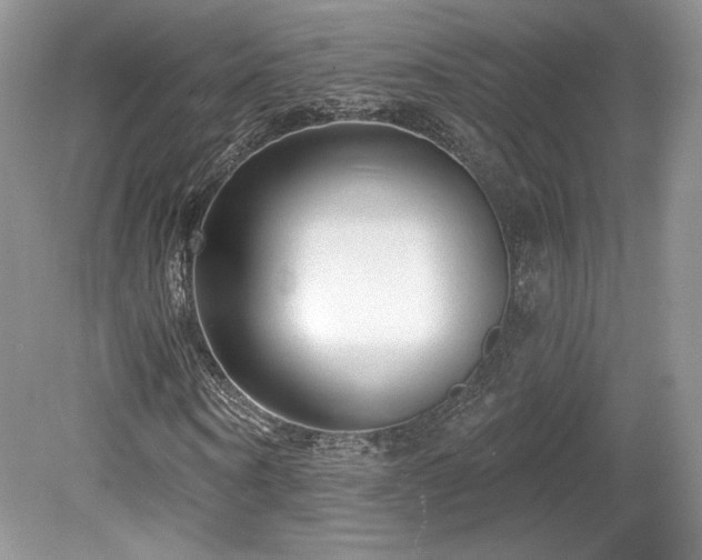 X0000080130866200612081227