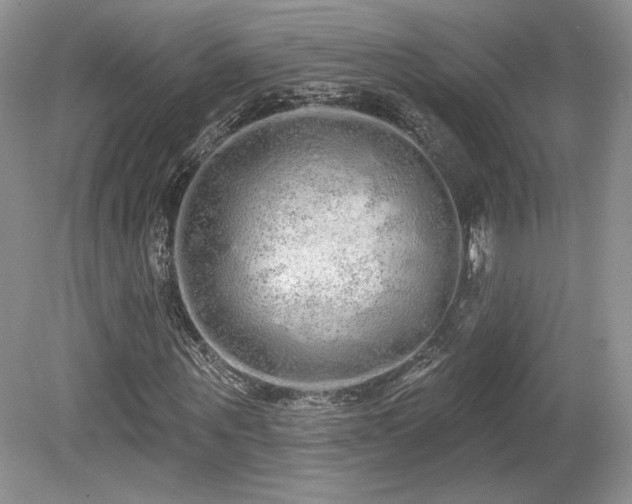 X0000080130867200612081227