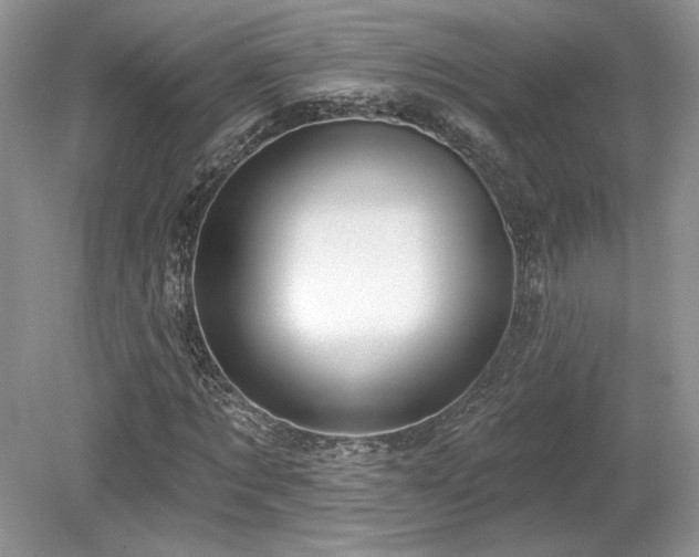 X0000080130869200612081227