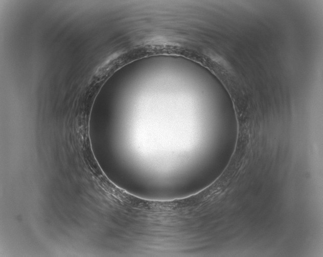 X0000080130870200612081227