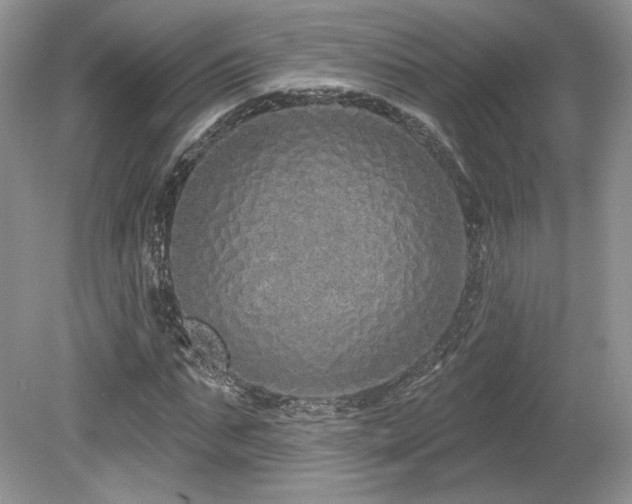 X0000080130871200612081227