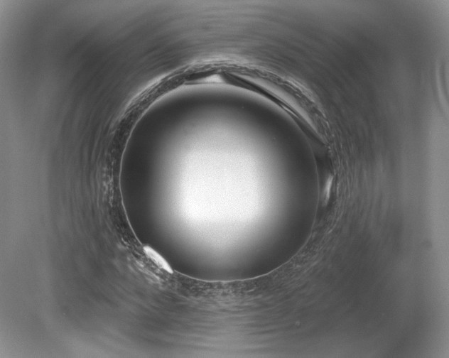 X0000080130872200612081227