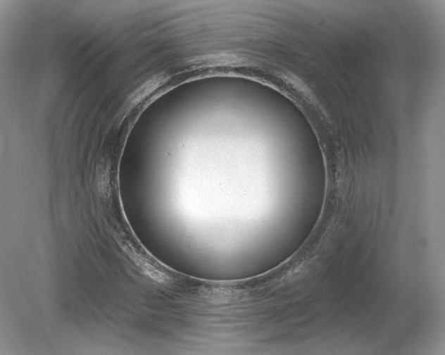 X0000080130873200612081227