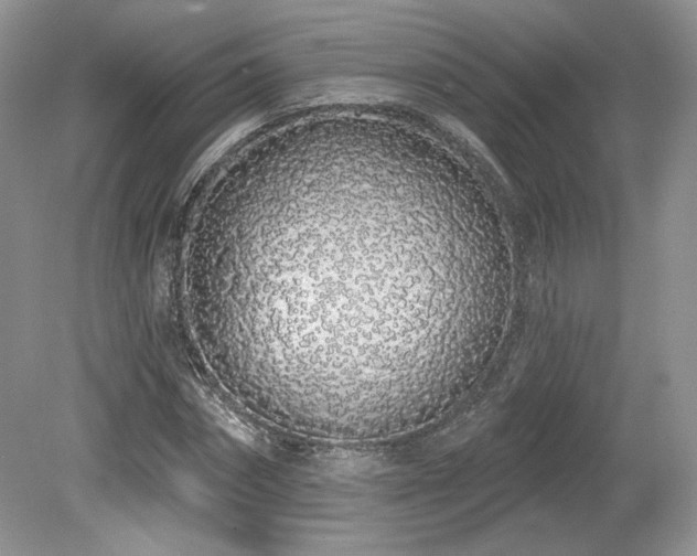 X0000080130874200612081227