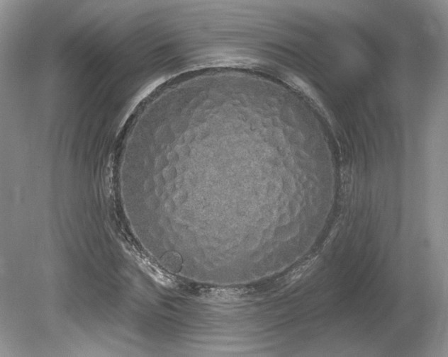 X0000080130875200612081227