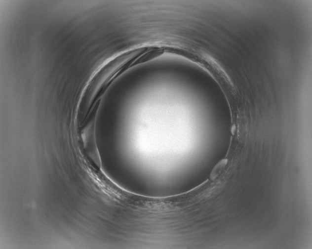 X0000080130876200612081227