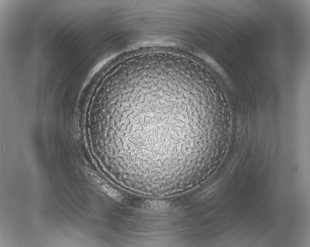 X0000080130878200612081227