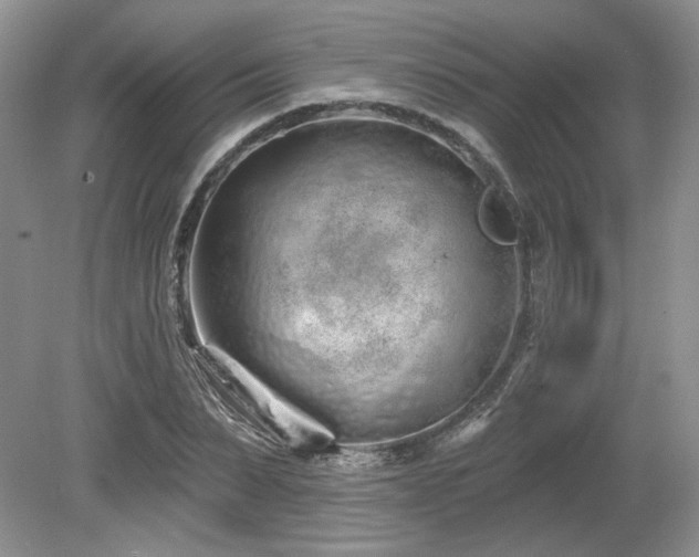 X0000080130879200612081227