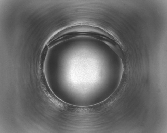 X0000080130880200612081227