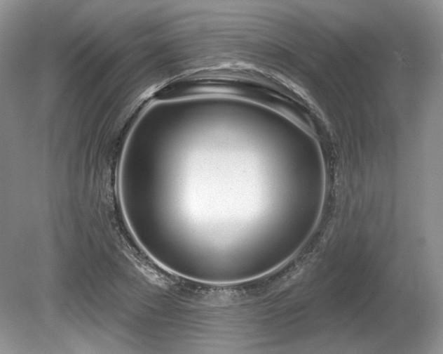 X0000080130881200612081227