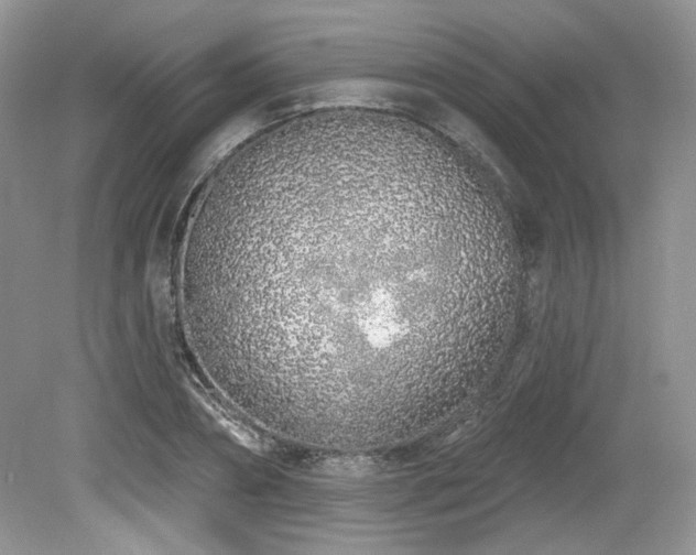X0000080130882200612081227